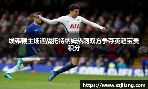 埃弗顿主场迎战托特纳姆热刺双方争夺英超宝贵积分